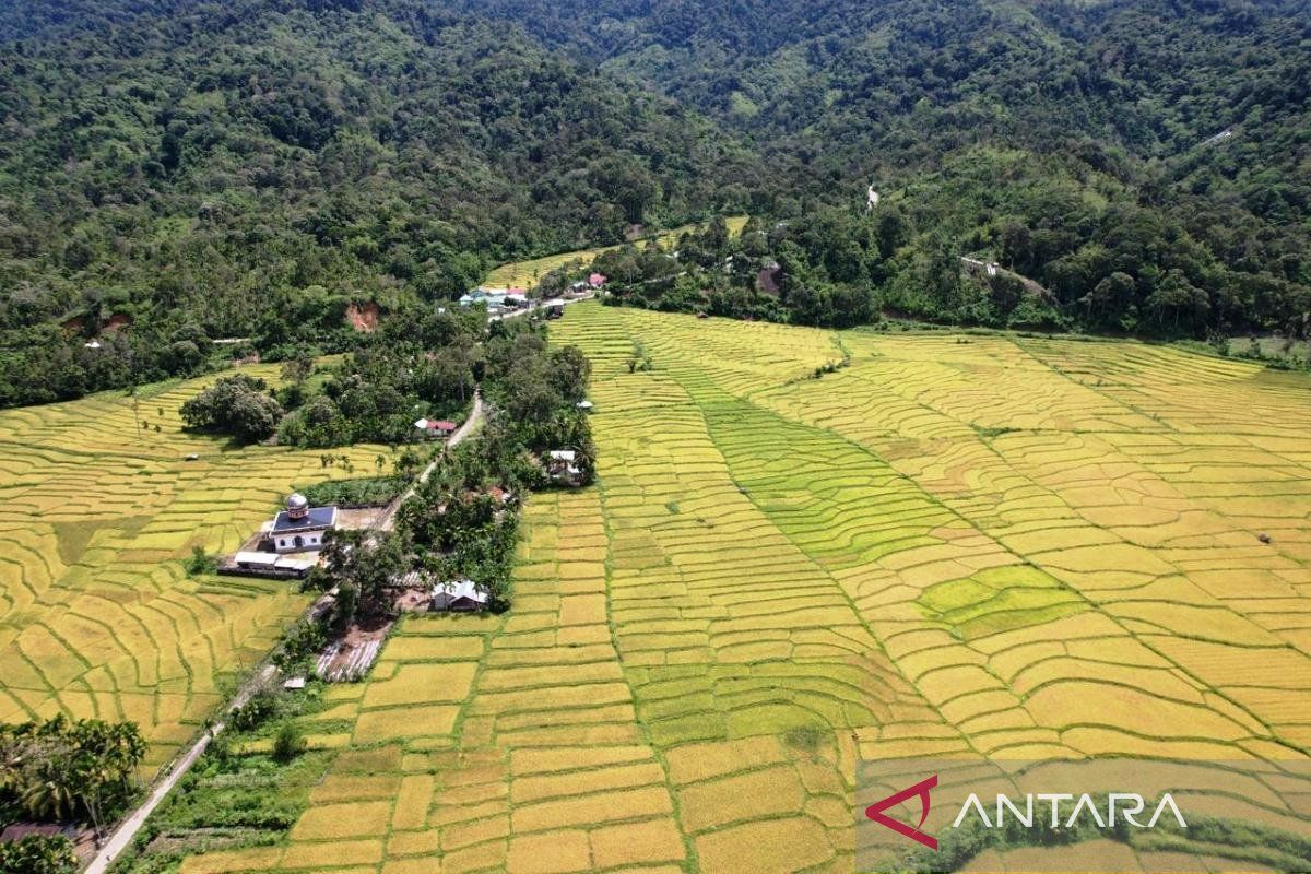 Residents Write to President to Oppose Gold Mine in Beutong Ateuh, Aceh