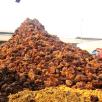 GAPKI Reveals Obstacles to Palm Oil Investment Hindering the National Industry