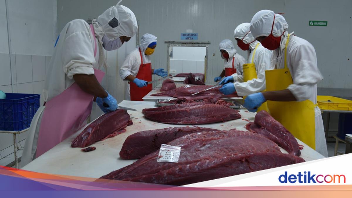 STELINA, the Foundation of Indonesia's Fisheries Competitiveness