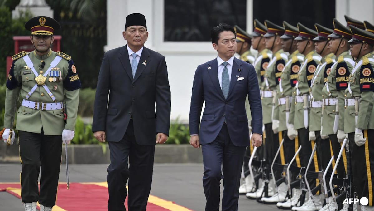 Indonesia and Japan discuss defence ties after Tokyo unlocks arms exports