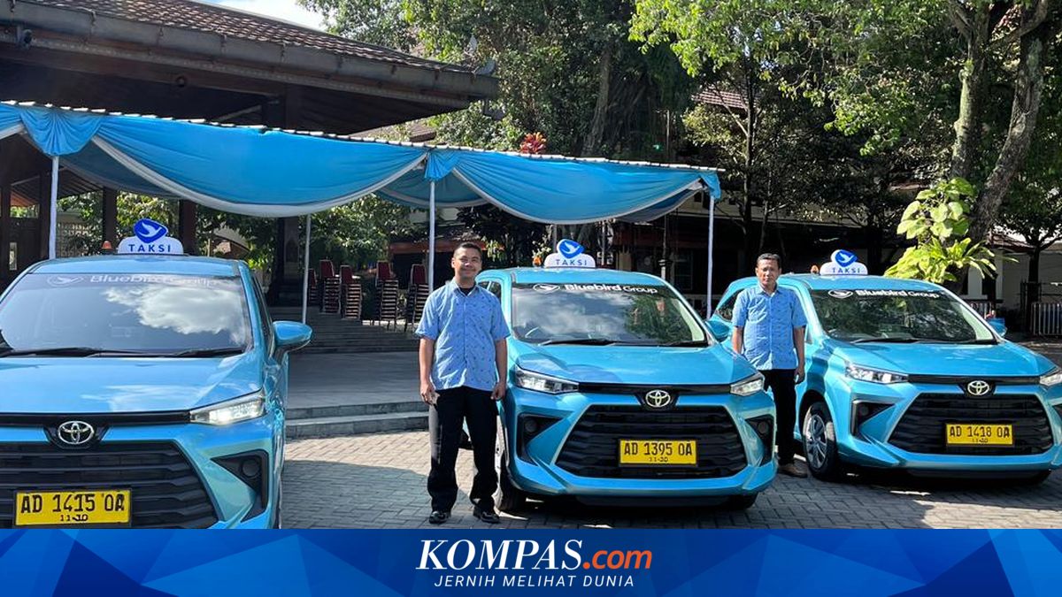 Bluebird's Strategy to Face Fuel Prices: CNG and EV as Key Assets