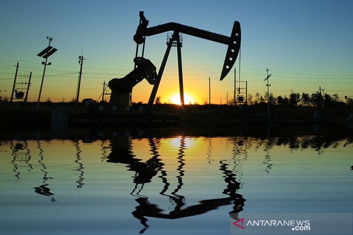 Indonesia identifies 13 new oil and gas wells in East Kalimantan
