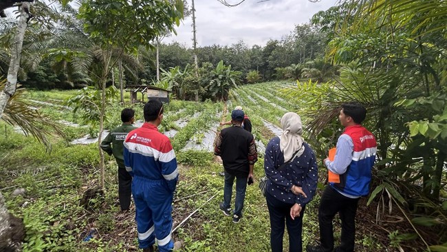 Commitment to Environmental Protection: PGN Pagardewa Relies on This Programme!