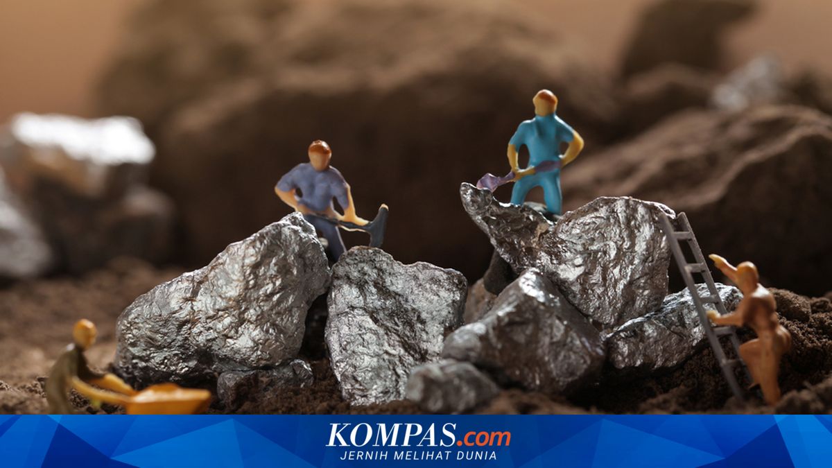 PAM Mineral (NICL) Distributes Rp 63.81 Billion Dividend from 2025 Profit