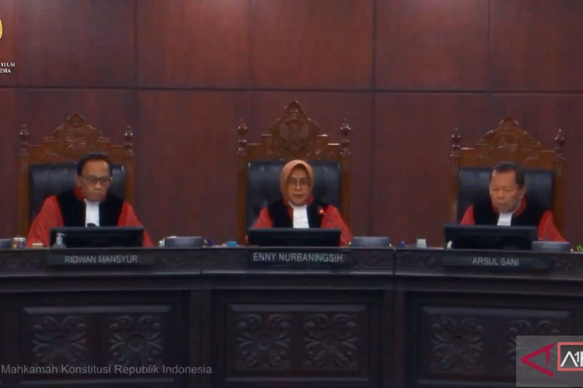 Constitutional Court holds preliminary hearing on judicial review of Political Parties Law by PBB