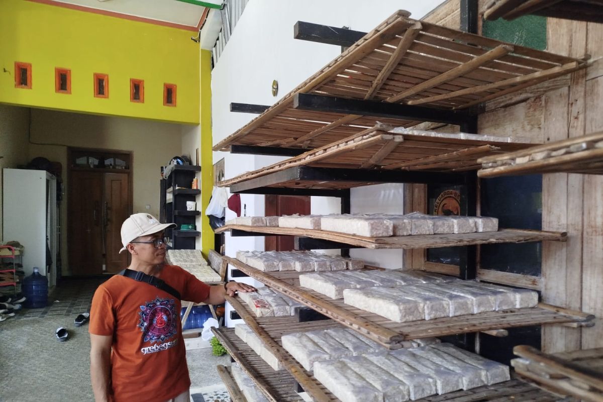Tempe artisans in Ponorogo adapt sizes amid rising soybean prices