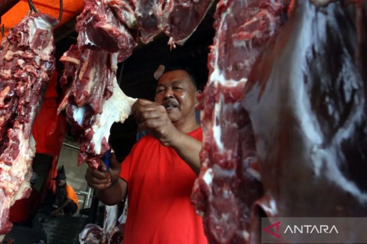 Meat Crossing Borders