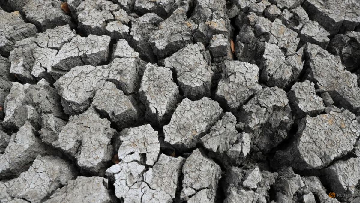 Super El Niño raises fears for Asia reeling from Middle East conflict