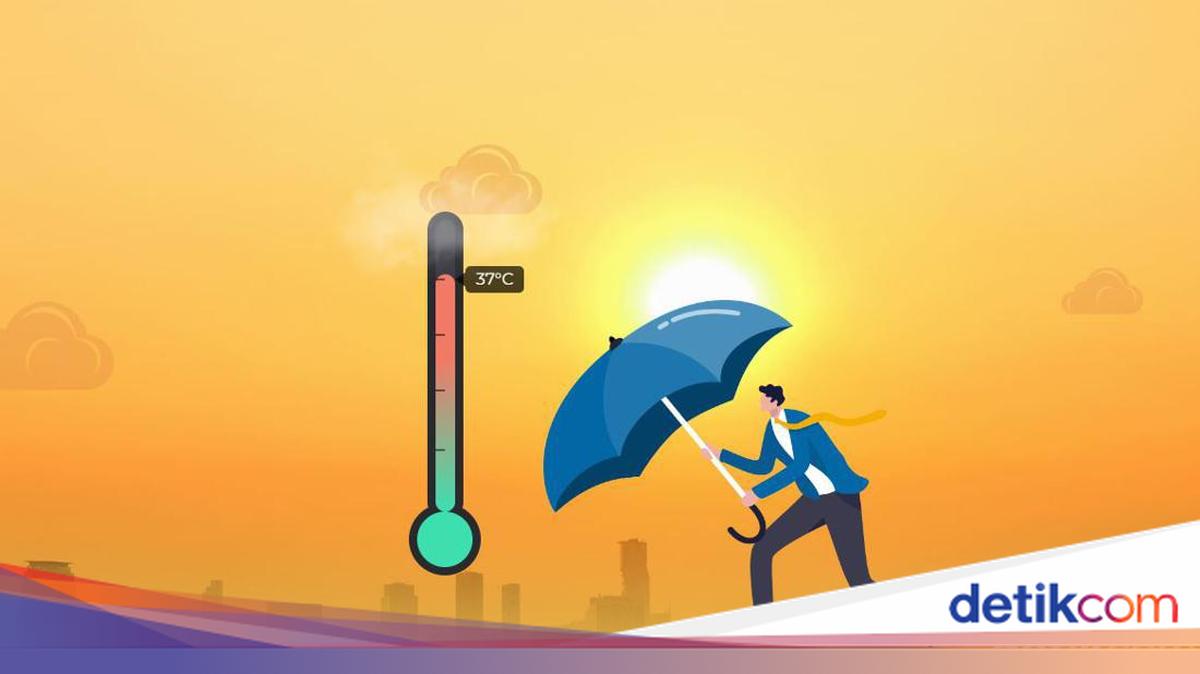 El Niño 2026: Strategies for Mitigating Ecological Crisis and Wildlife