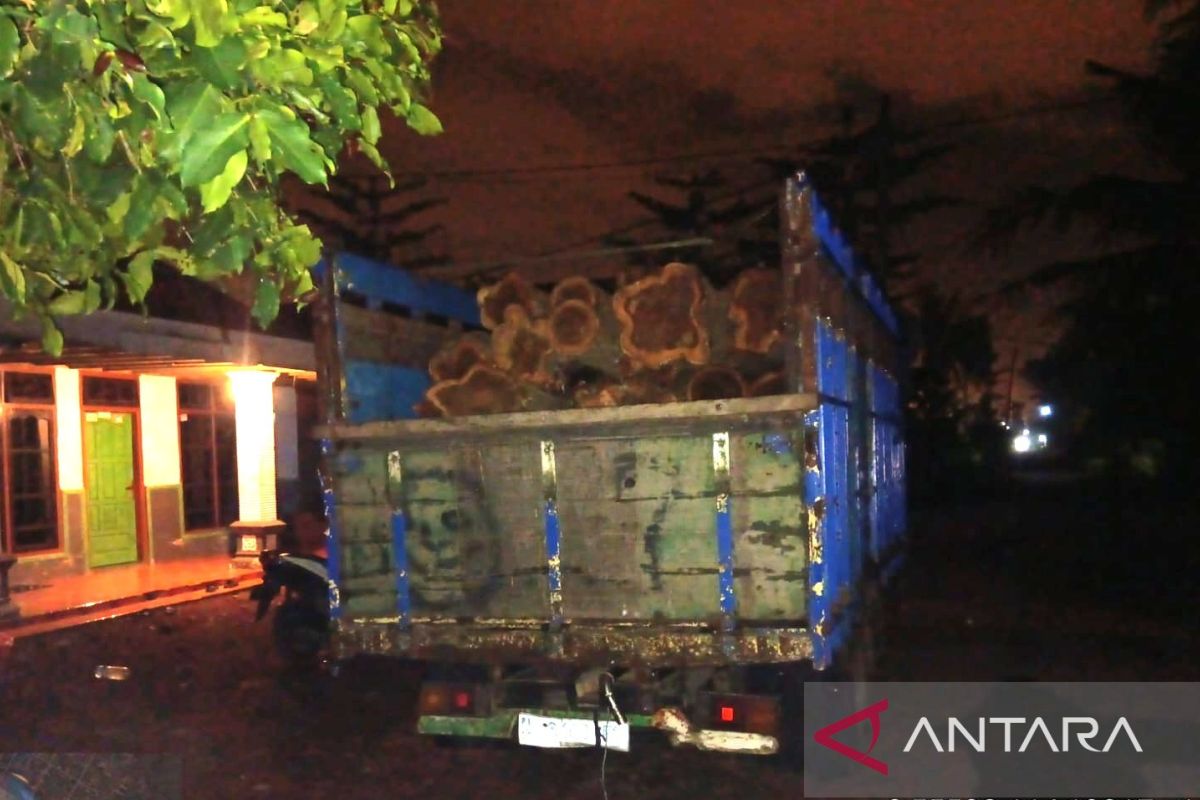 Joint Officers Secure Two Suspects in Illegal Logging in Banyuwangi