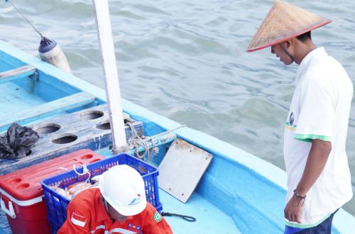 Pertamina Responds to Fishermen's Boats Not Setting Sail Due to Diesel Price Increase