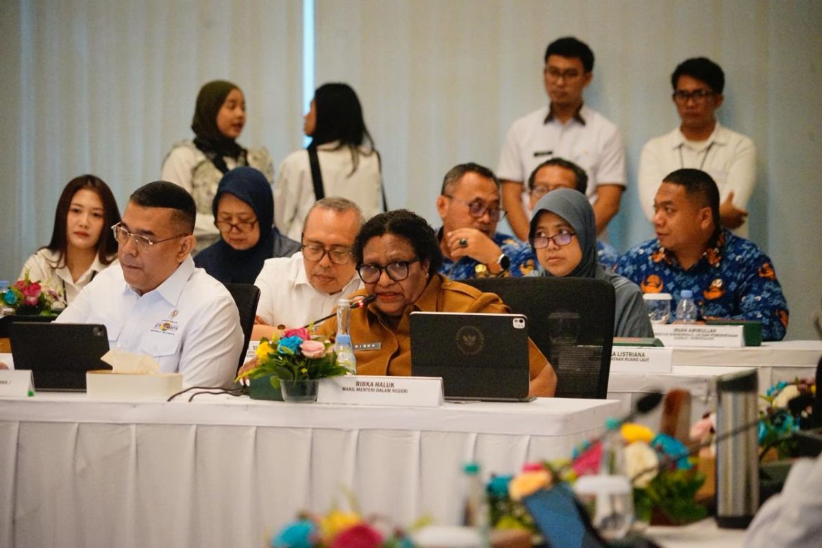 Deputy Interior Minister: Policy Alignment Between Central and Regional Governments Key to PSN Success