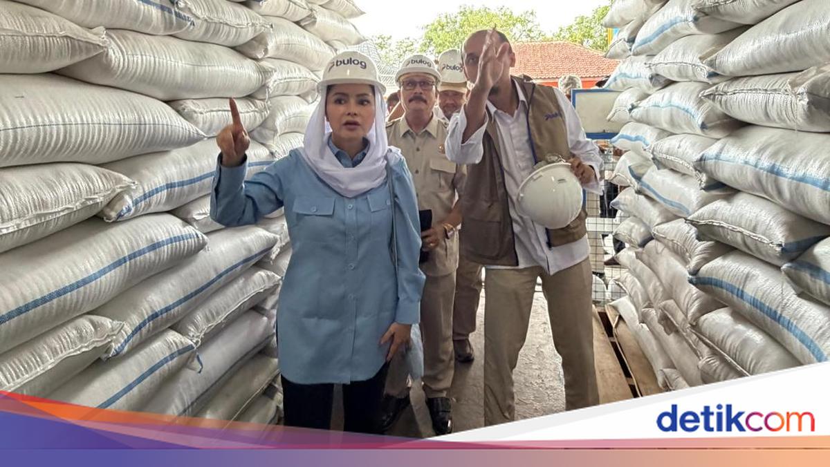 Gerindra Legislator Novita Checks Rice Stocks at Bulog Cilacap Warehouse