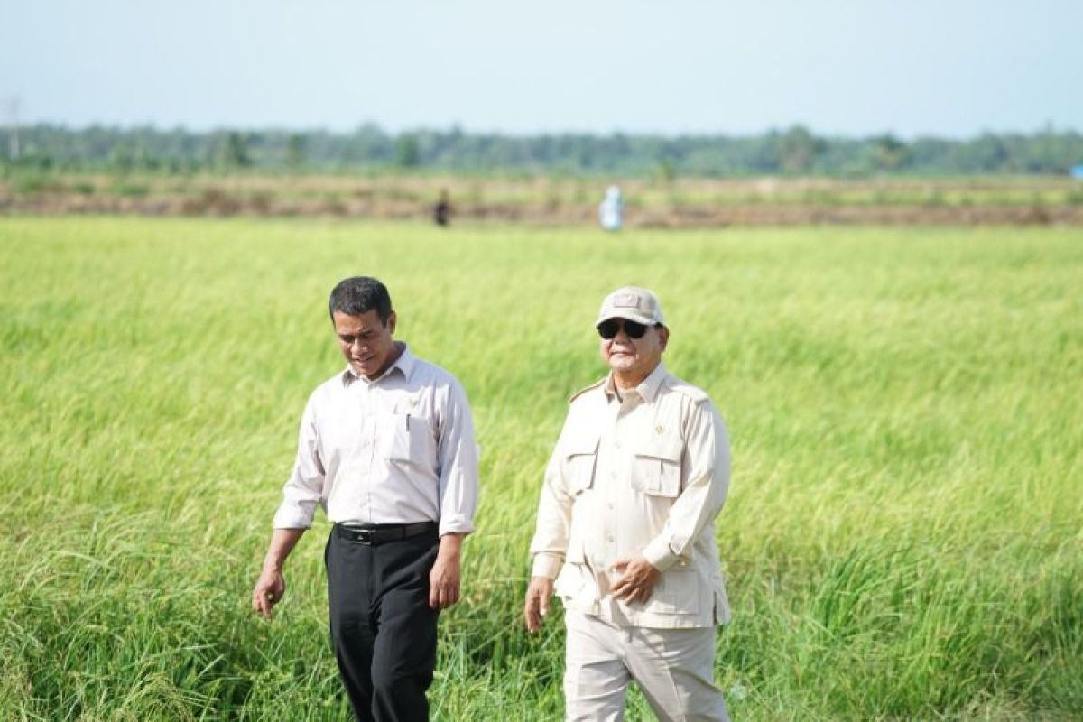 Agriculture Minister: Agriculture Contributes 12.67% to GDP, Supports Economic Growth