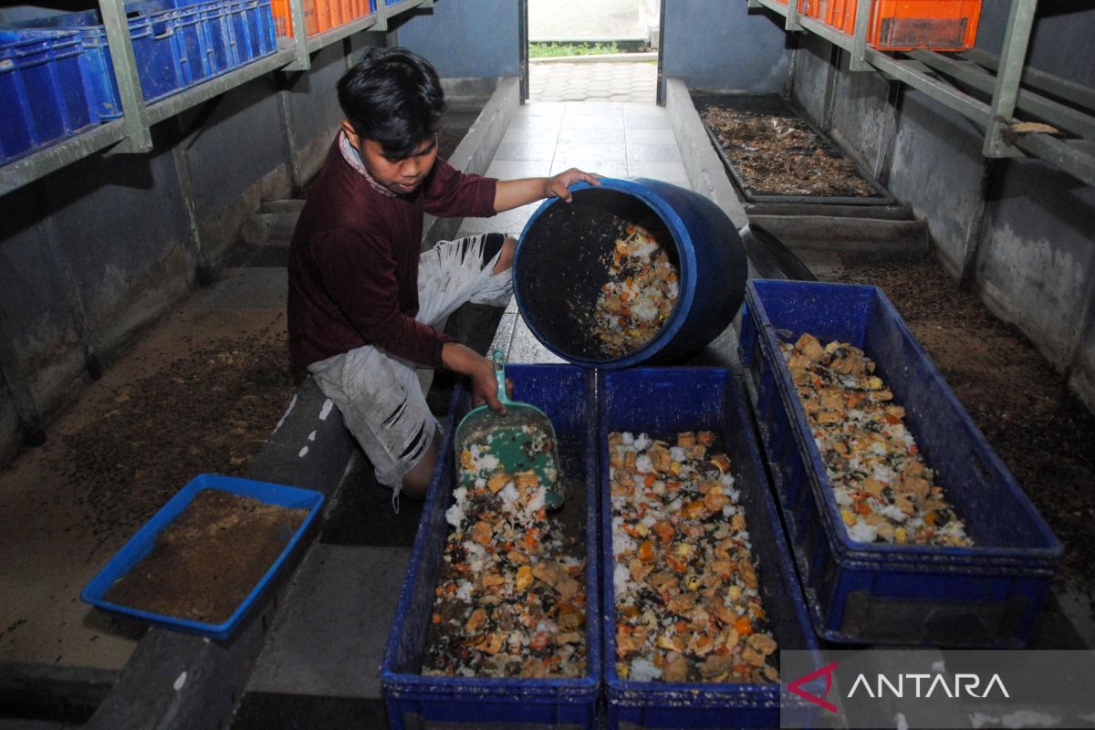 BRIN Researcher Offers Innovative Solutions to Manage Waste from MBG Programme