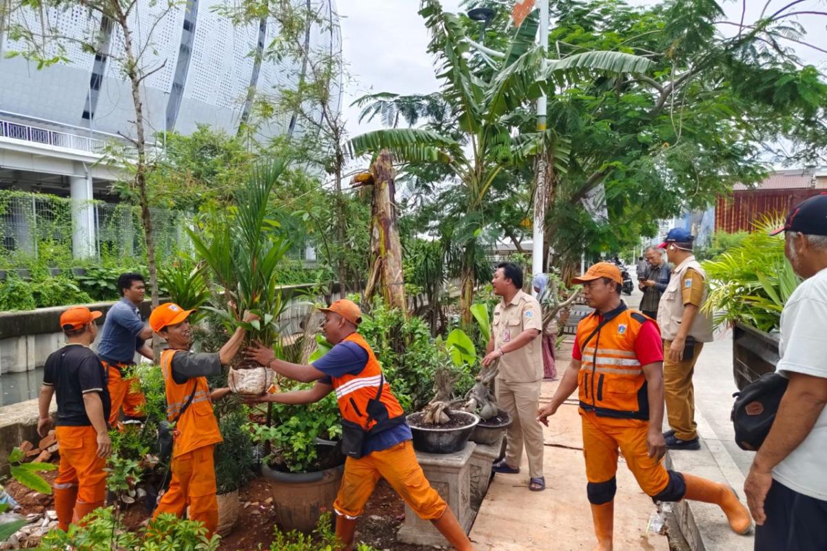 North Jakarta City Government Relocates Ornamental Plant Vendors at Lake Bisma, Tanjung Priok