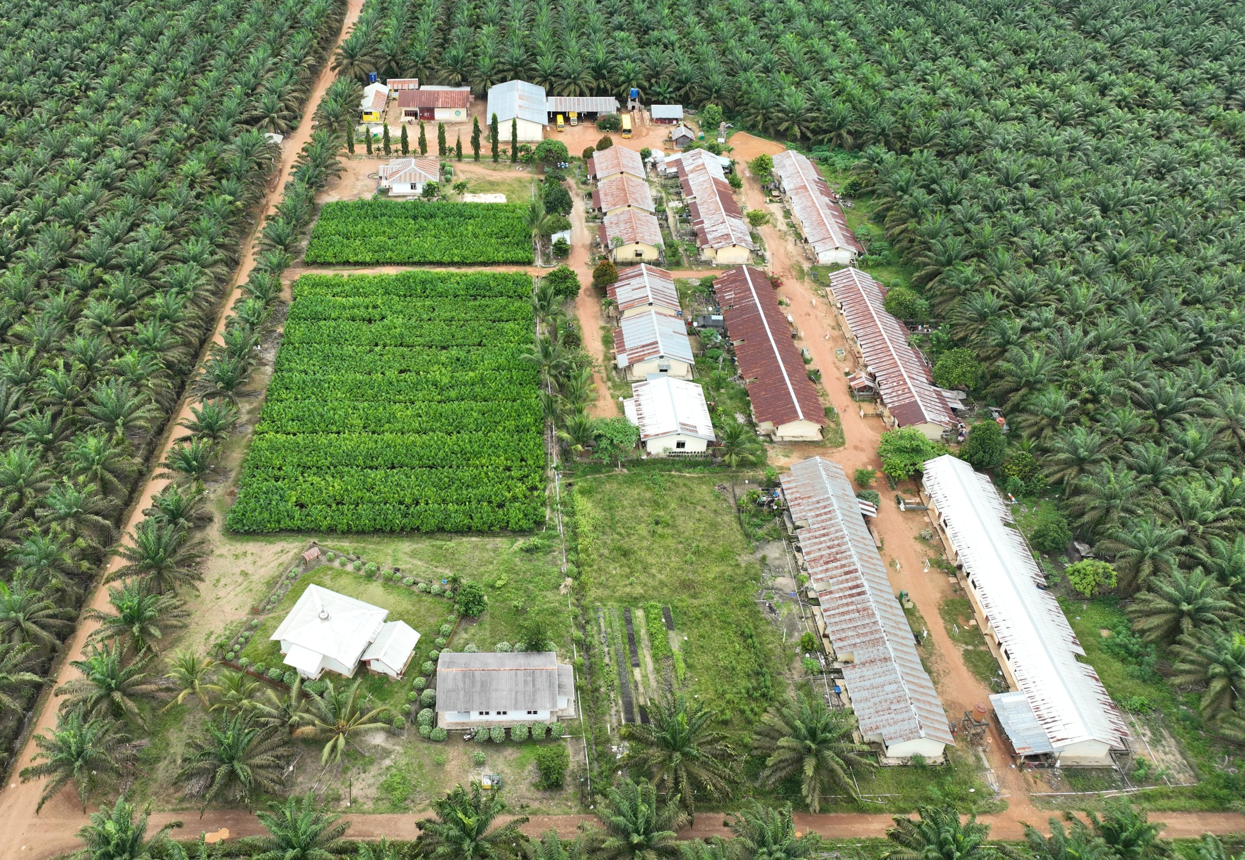 AEP Acquires PNGO for Rp2.8 Trillion, Obliged to Tender Offer for Remaining Shares