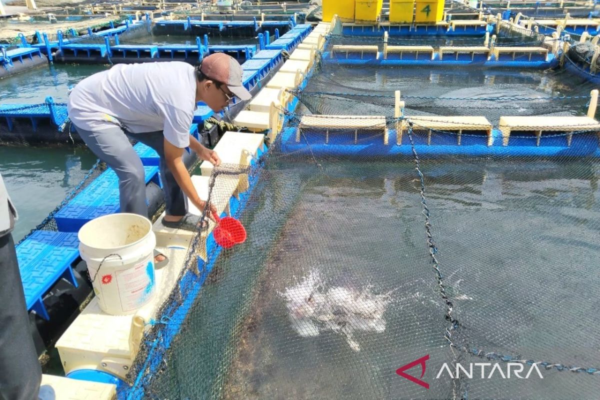 The Emergence of New Economic Sources for Fishermen on the Coast of Kundur Island