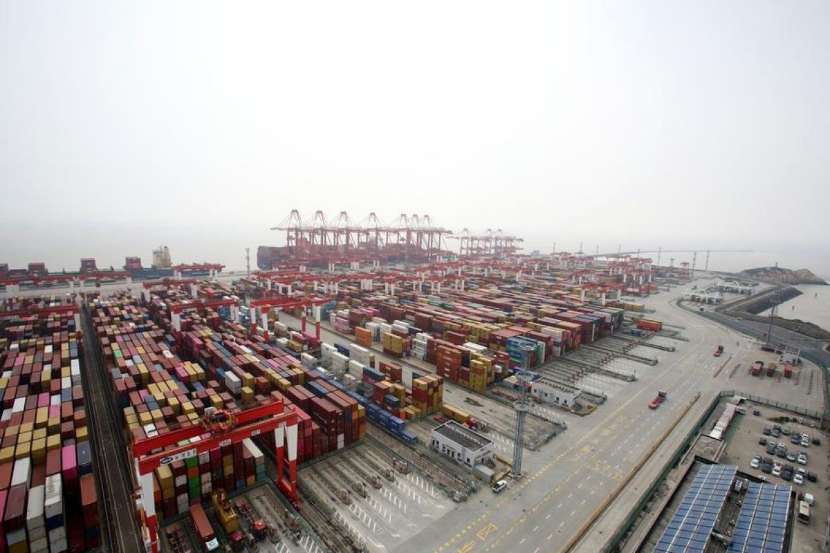 Exploring Phase IV Automated Terminal at Shanghai's Yangshan Port, China