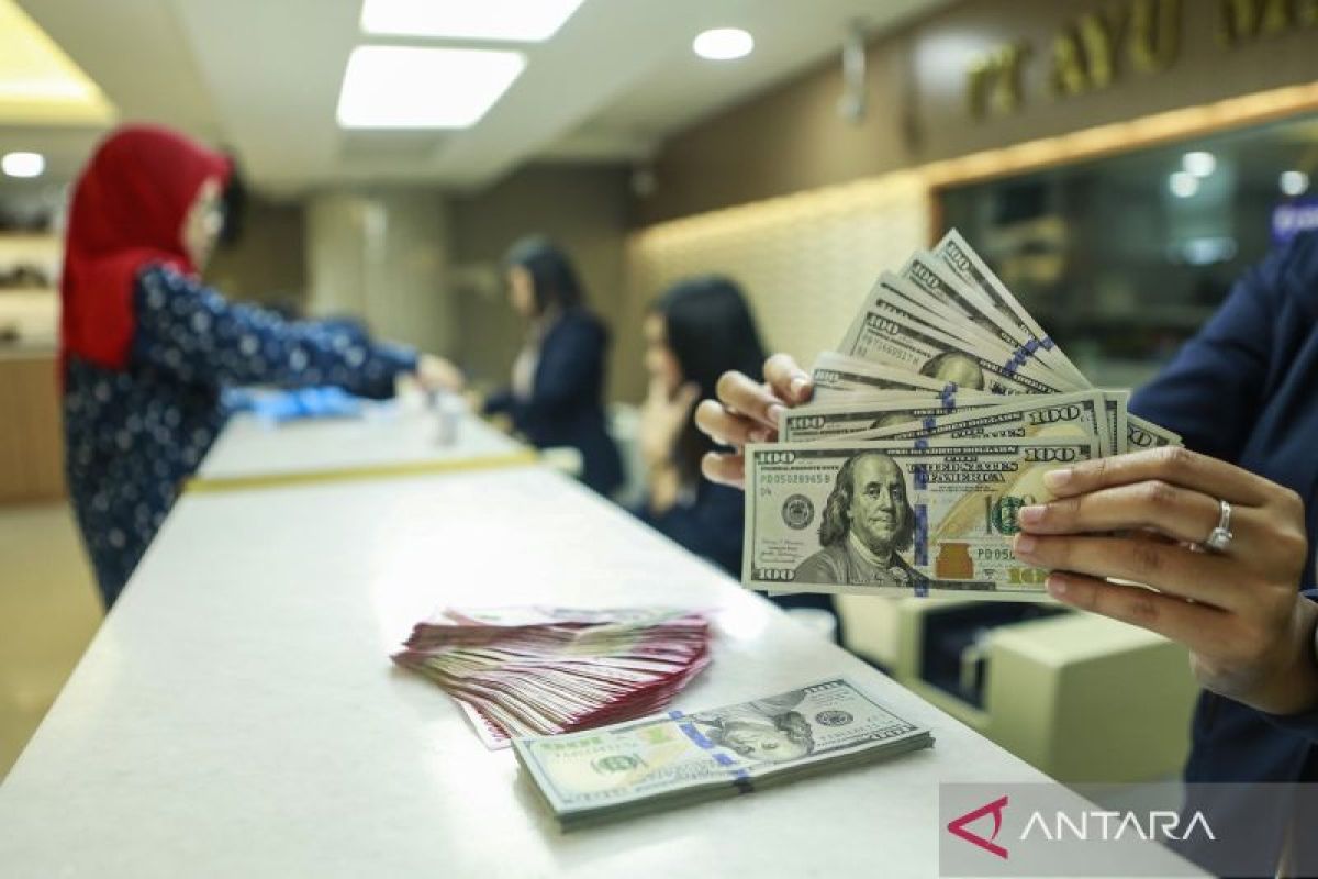 Government prepares Panda Bonds issuance in China to strengthen rupiah