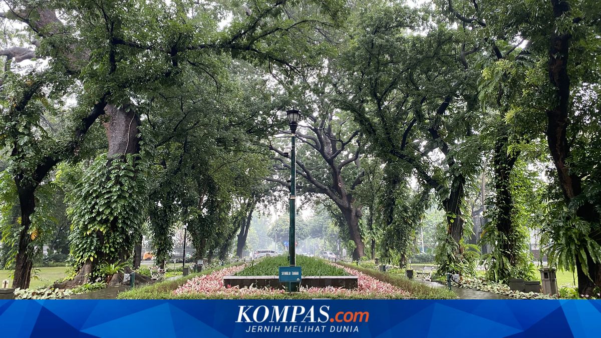 Curious About the Total Area of All Green Open Spaces in DKI?