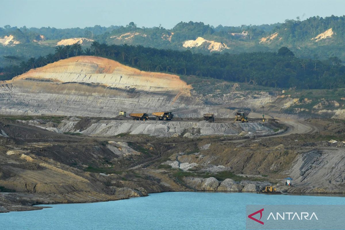 Economic Lifeline from the Black-Dense Commodities of the Earth's Belly