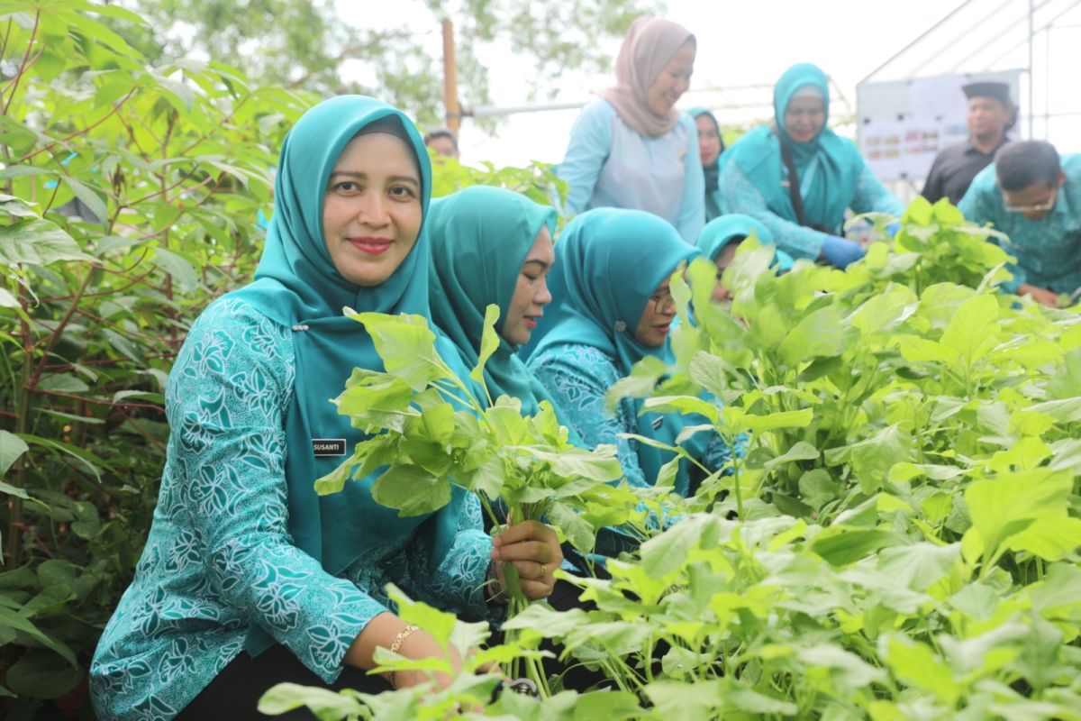 Thousand Islands Promotes Hydroponic Vegetable Planting for Food Security