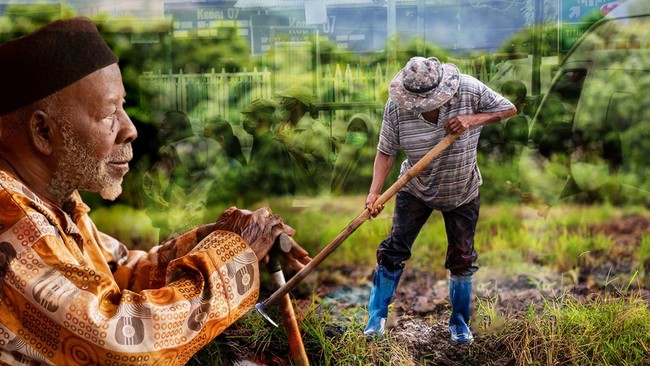 Beware! Indonesia is Ageing Rapidly, These are the 10 Provinces with the Most Elderly People