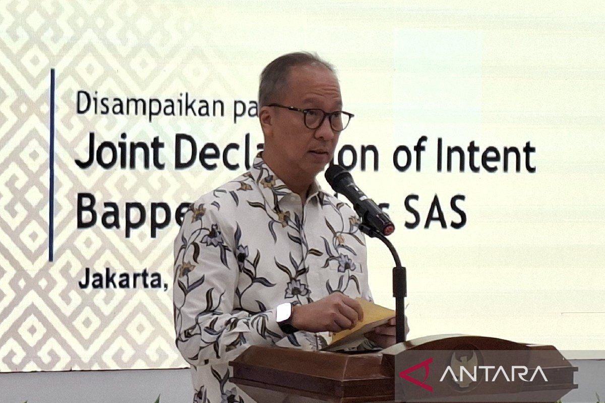 Indonesia set to be fourth-largest aviation market by 2030