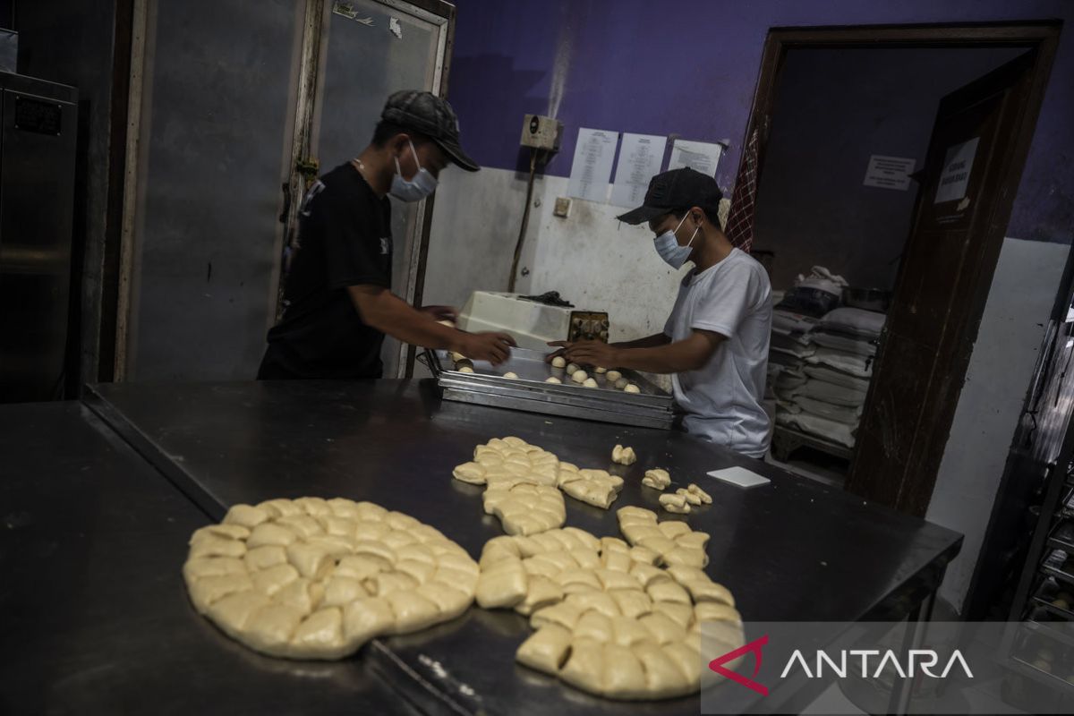 Expert: SME, manufacturing credit needs revival for double-digit growth
