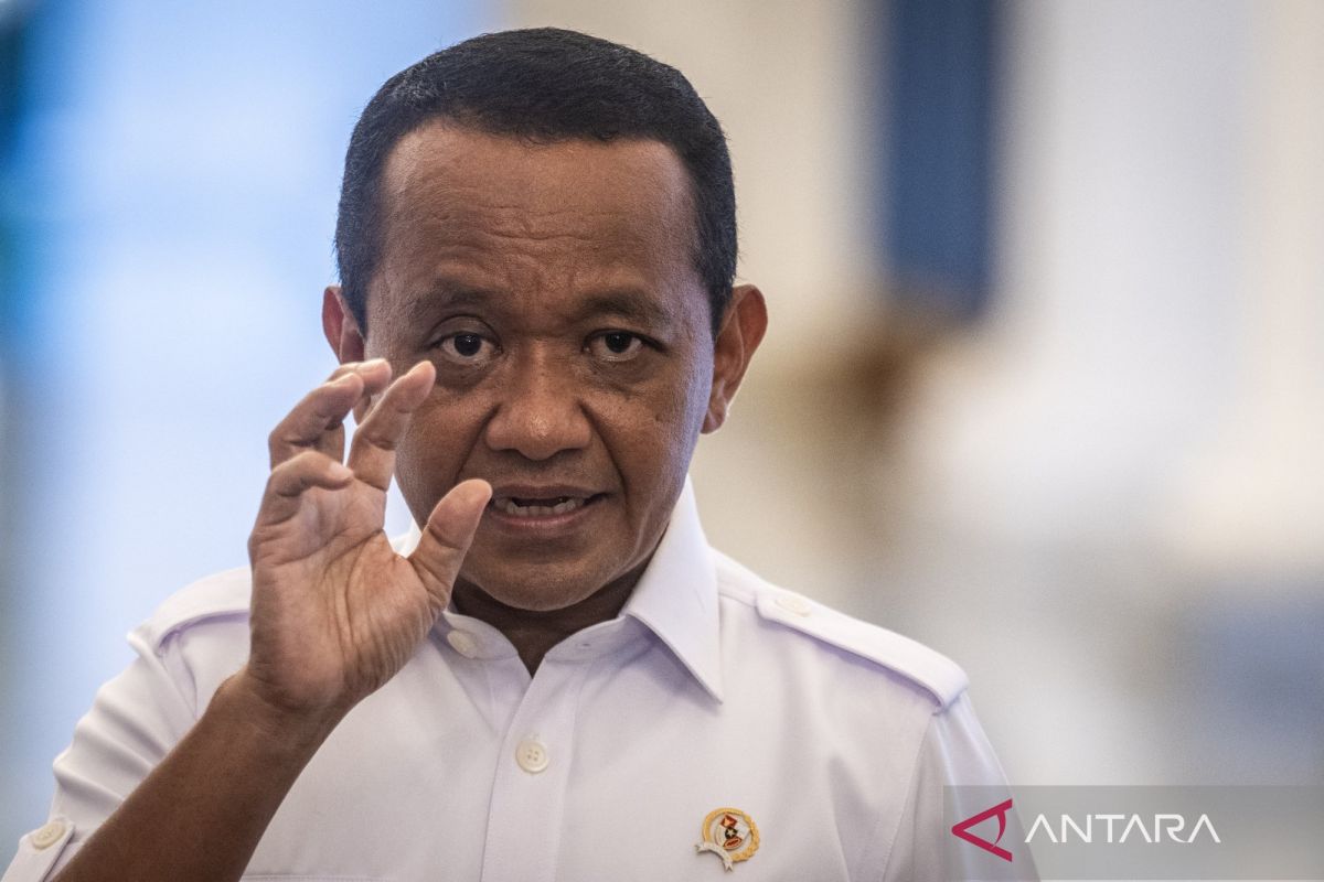 Indonesia, Philippines have no nickel G2G cooperation: minister