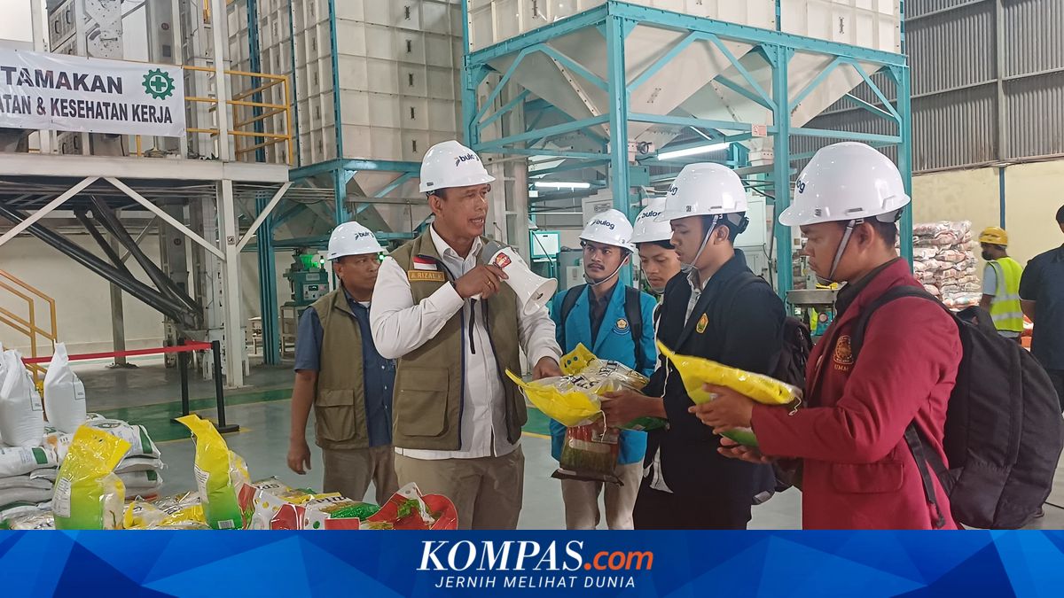 Bulog Organises Rice Warehouse Tour, Students Directly View 5.2 Million Tonne Stock