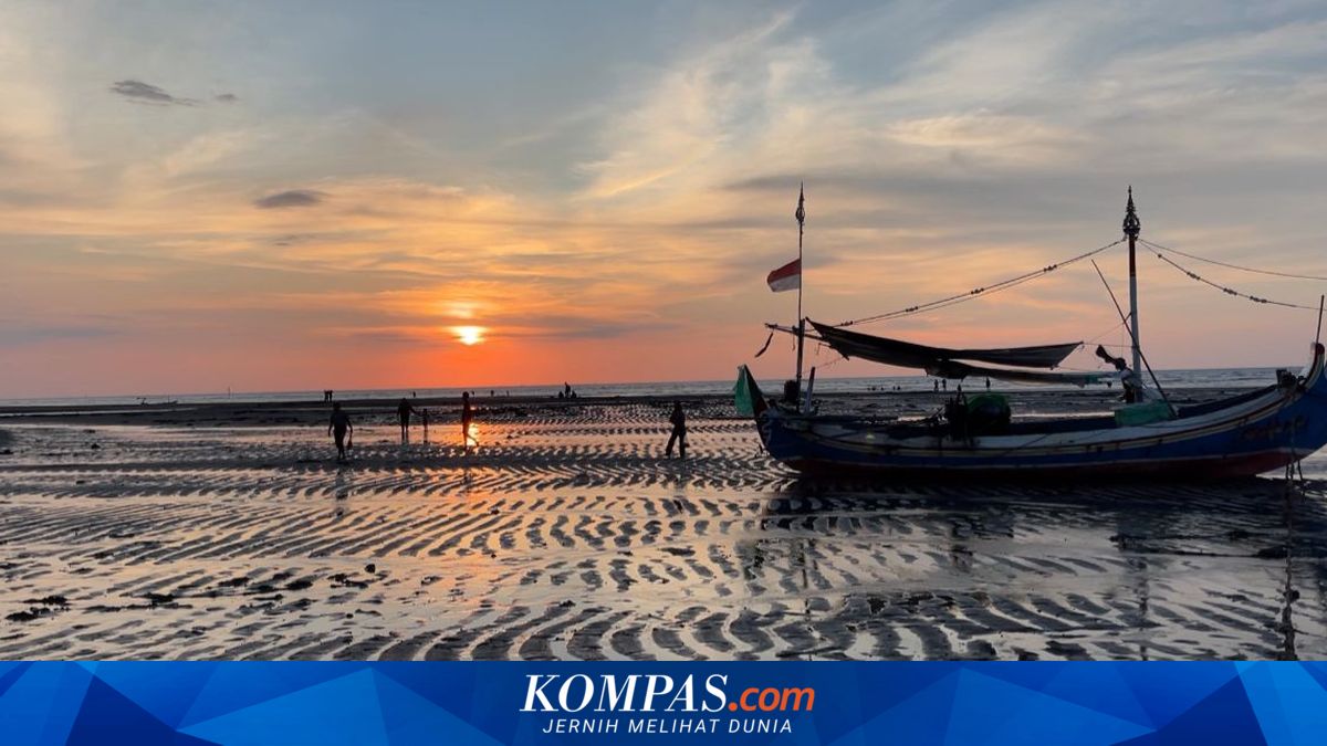 BRIN Research: Java's North Coast Faces Systemic Crisis, 65% of Coastline Experiencing Erosion