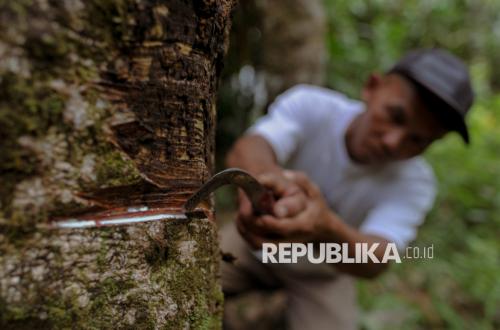 Rubber Supply Chain Under Pressure, Tyre Industry Strengthens Interventions at Farmer Level