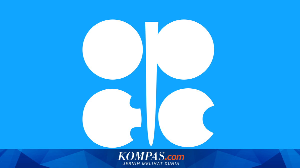 UAE Exits OPEC, Saudi Arabia's Dominance Questioned