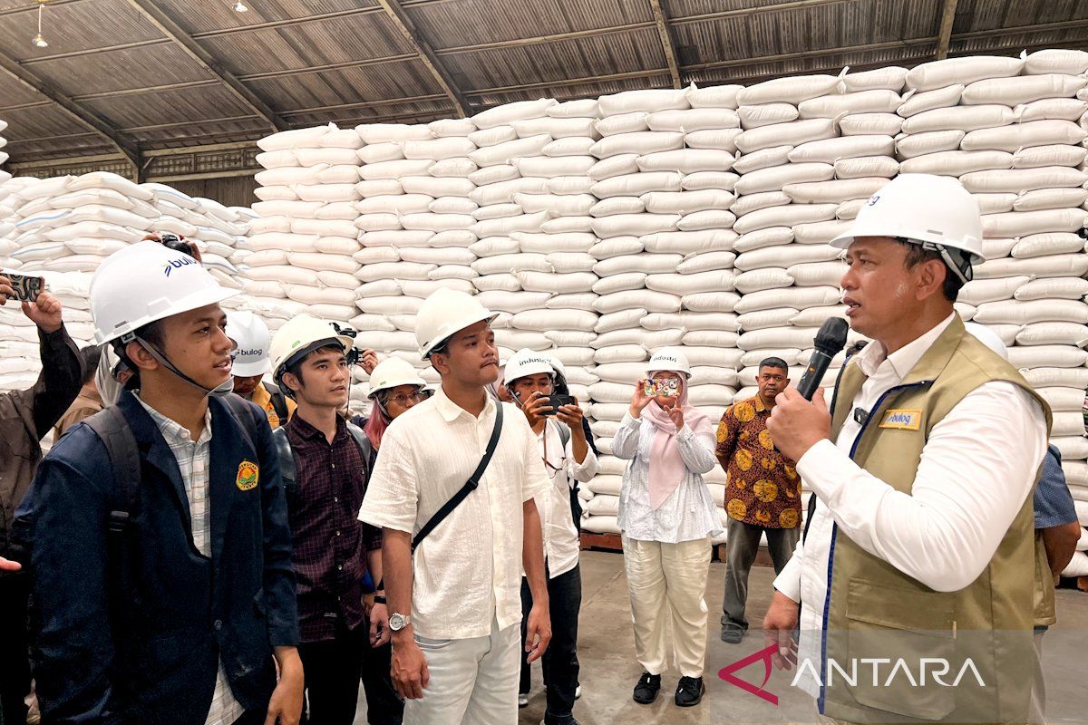 Bulog CEO states farmer paddy absorption reaches 2.4 million tonnes equivalent to rice