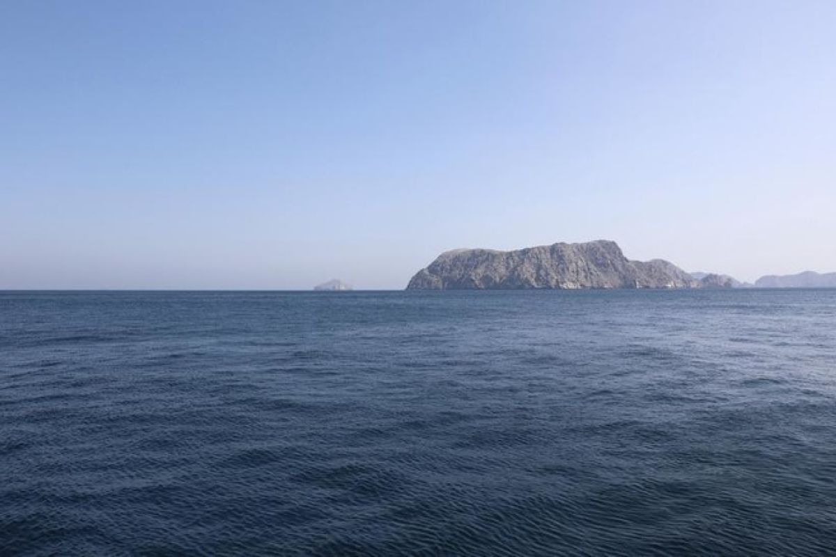 Pakistan Welcomes US Decision to Suspend Project Freedom in Hormuz