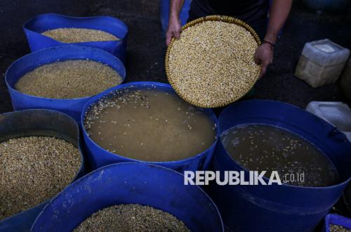 Imported Soybean Prices Remain High Due to Middle East Conflict, Traders' Turnover Declines