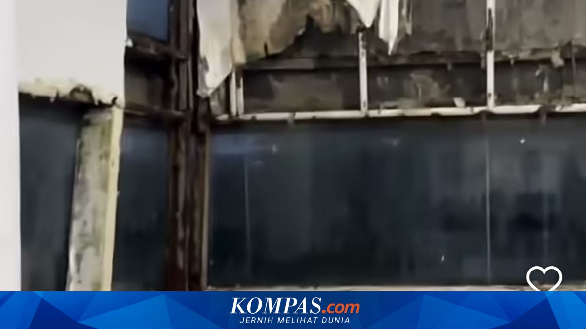 Viral Video of Neglected UI Central Library: Mossy Floors to Damaged Walls