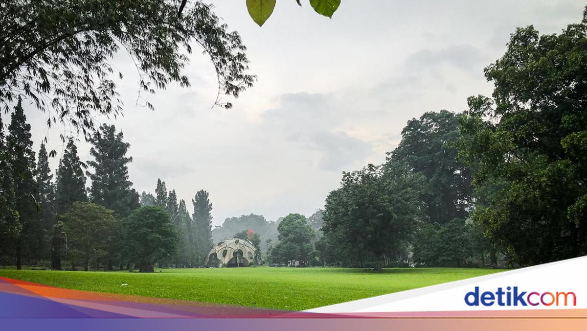 Can AI Based on Botanical Garden Scientific Collections Predict Floods?