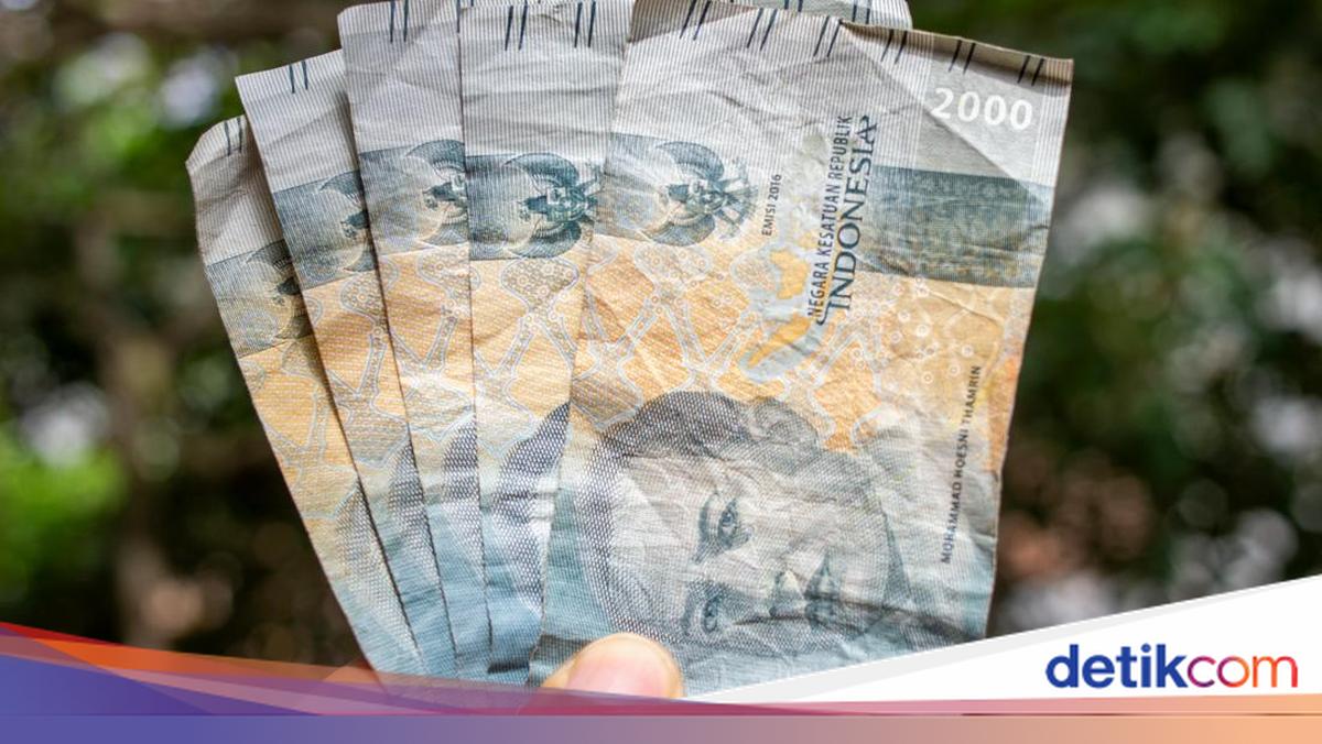What Are Panda Bonds, the Indonesian Government's Step to Strengthen the Rupiah?