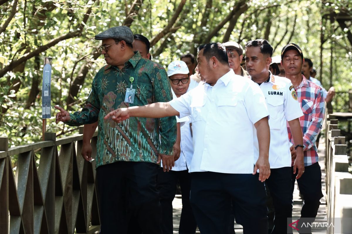 Ministry of Forestry Collaborates to Develop Mangrove Ecotourism in Penajam Regency