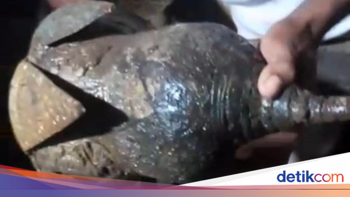 Discoverer of Ancient Artefacts on Konga Beach Could Become Cultural Heritage Custodian