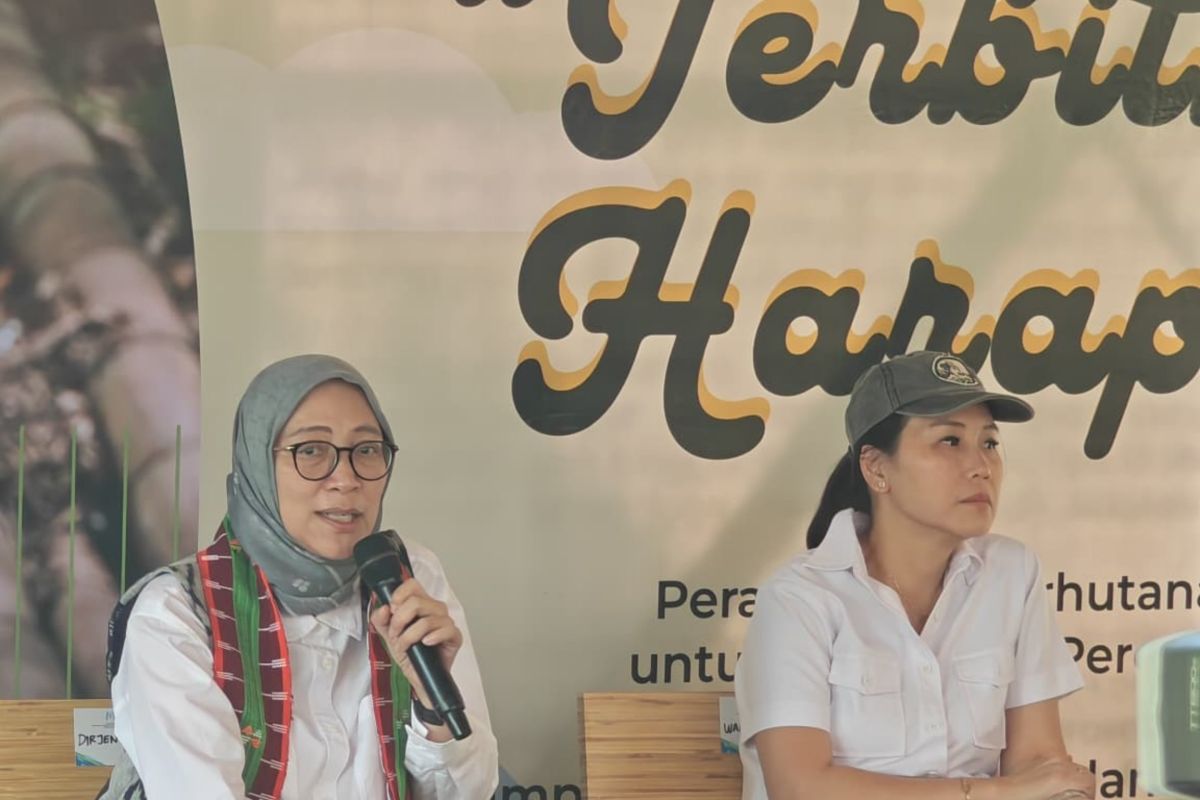 Ministry of Forestry Issues Six Social Forestry Decrees Exclusively for Women in NTT