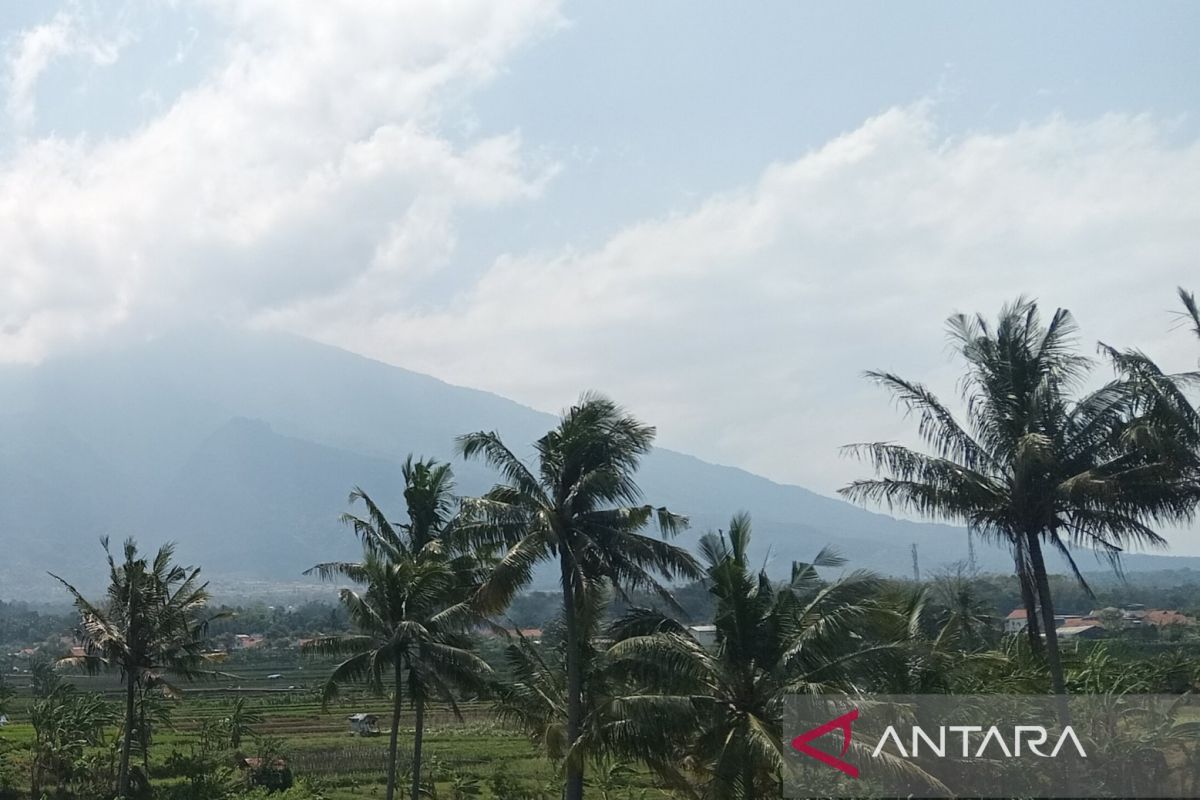 Kuningan Regency Develops Coconut as a Leading Regional Commodity