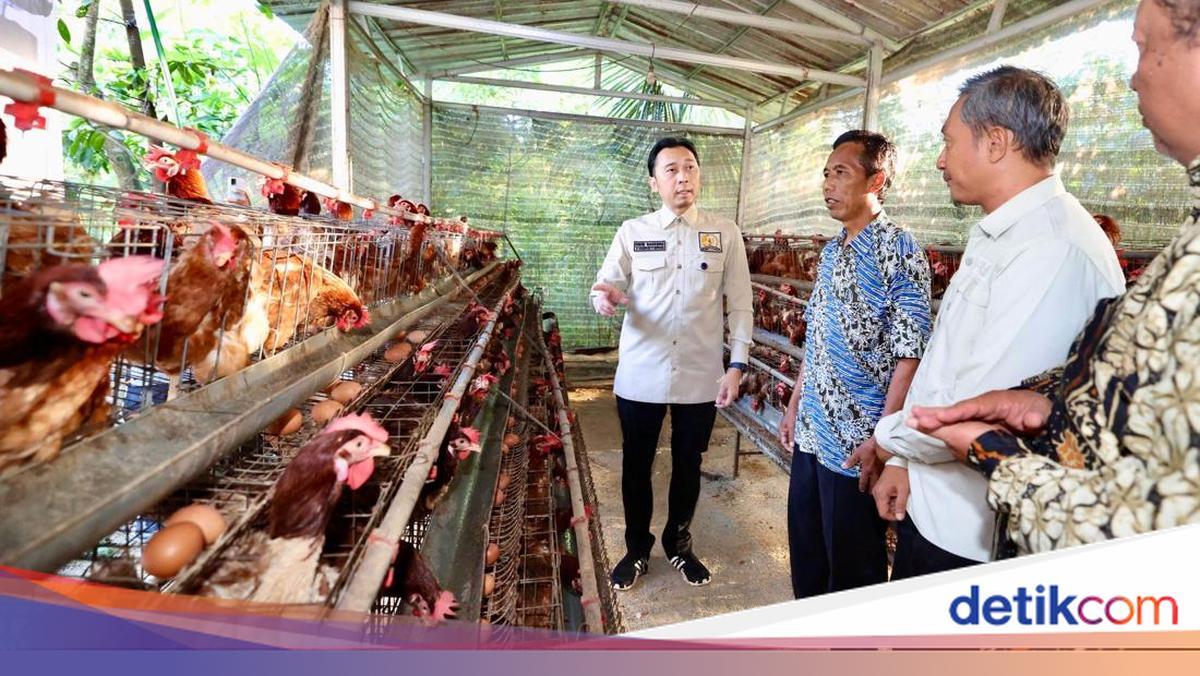 Ibas Pushes for Village Livestock Farming to Support Food Ecosystem-MB G Programme