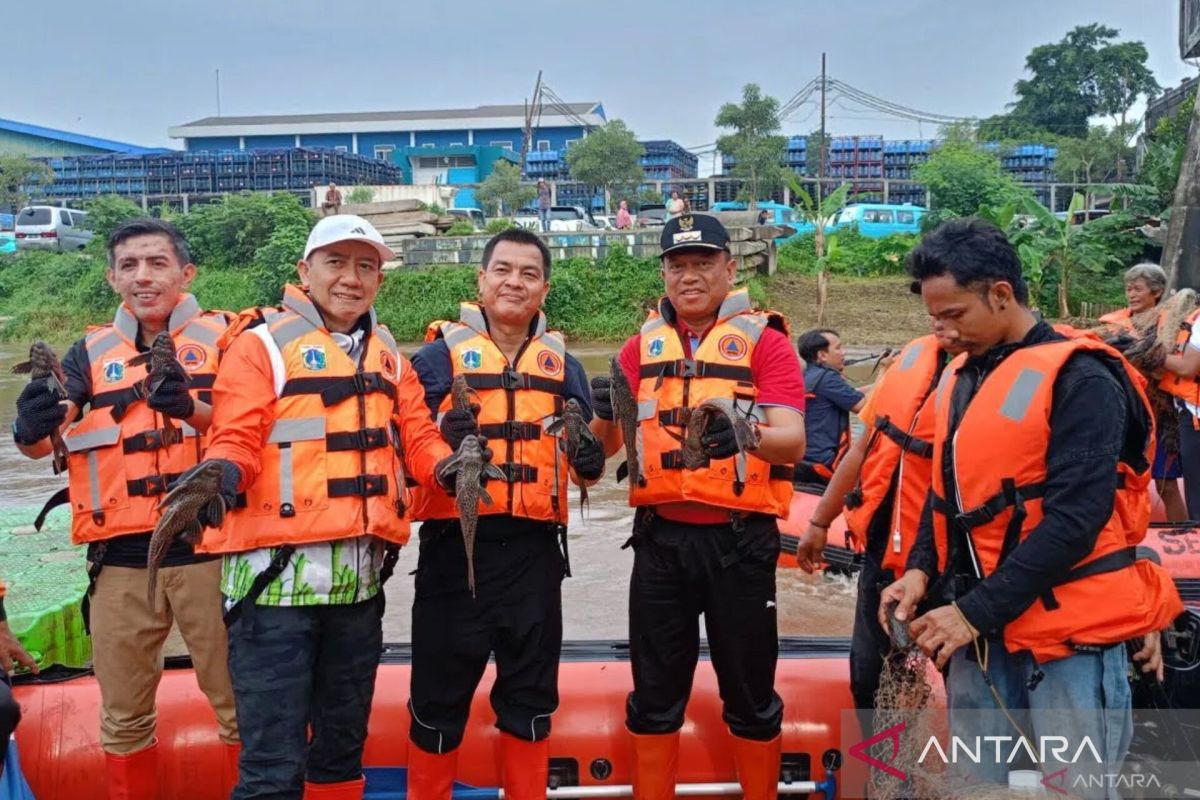DKI KPKP Department Targets Reduction of Janitor Fish Population to 20 Percent