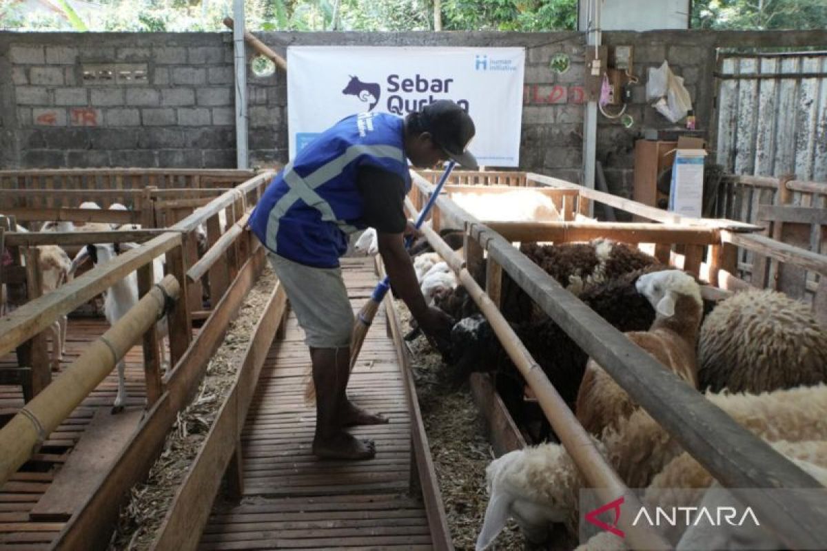 Human Initiative Partners with Local Breeders through Qurbani Distribution Programme
