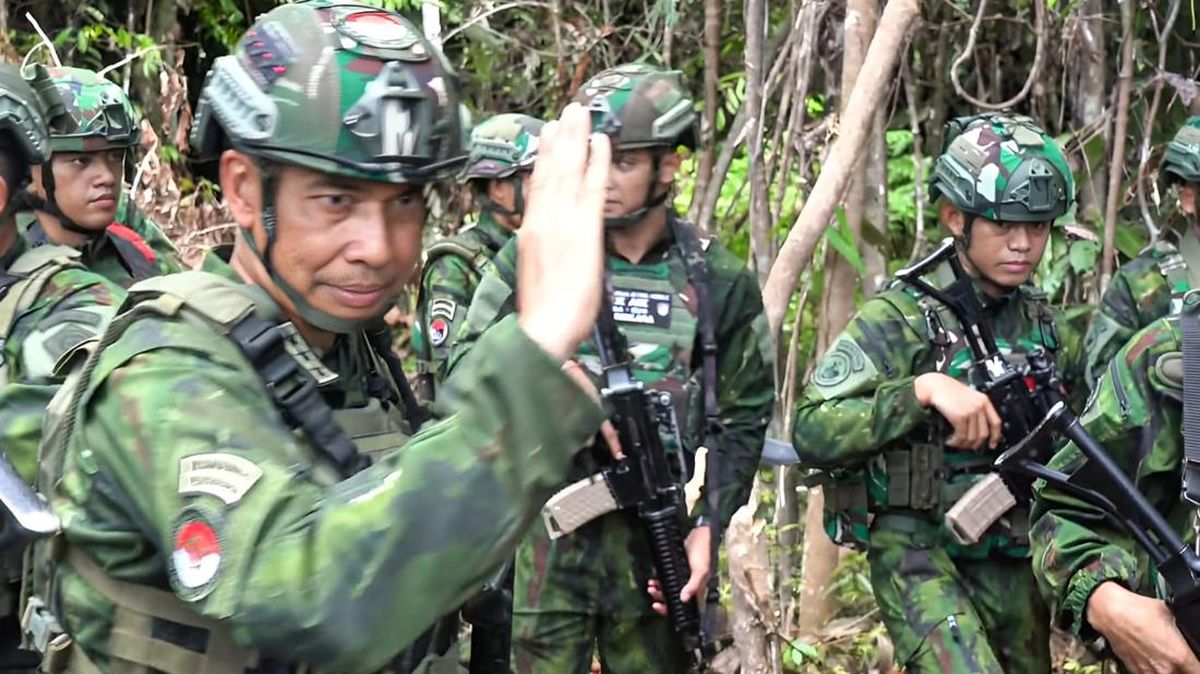 TNI Uncovers Cannabis Fields Suspected to Belong to KKB in Papua