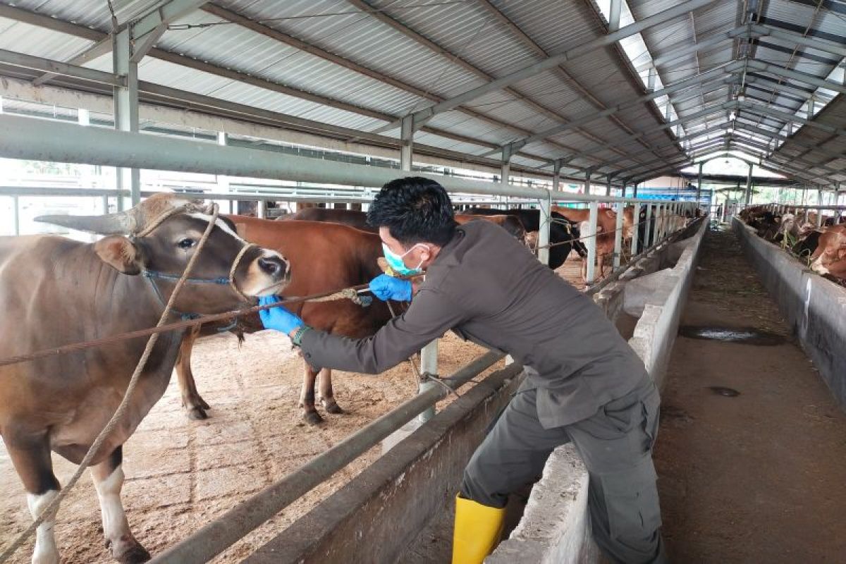 Baznas RI declares readiness to serve the public in the 2026 Qurban worship